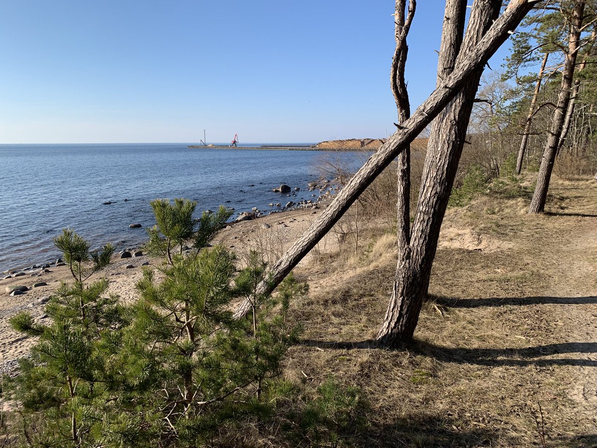 MMeistere's tweet image. Zvejniekciemā #marts #pavasaris