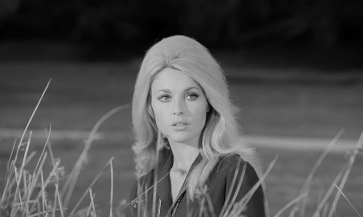 torsodapop's tweet photo. Sharon Tate as Odile de Caray in EYE OF THE DEVIL (1966), dir. J. Lee Thompson
#SharonTate #JLeeThompson #EyeOfTheDevil #folkhorror #gothichorror #gothicstyle 🏰👁️ https://t.co/qatK7LP7kj