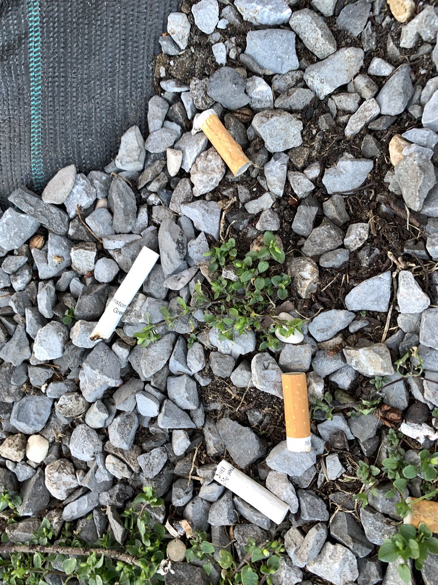 Yesterday I got my #sucksack. 
Today I had my <a href="/RedBullLitter/">Red Bull Litter</a> again. 
Still, some other items are also daily available!