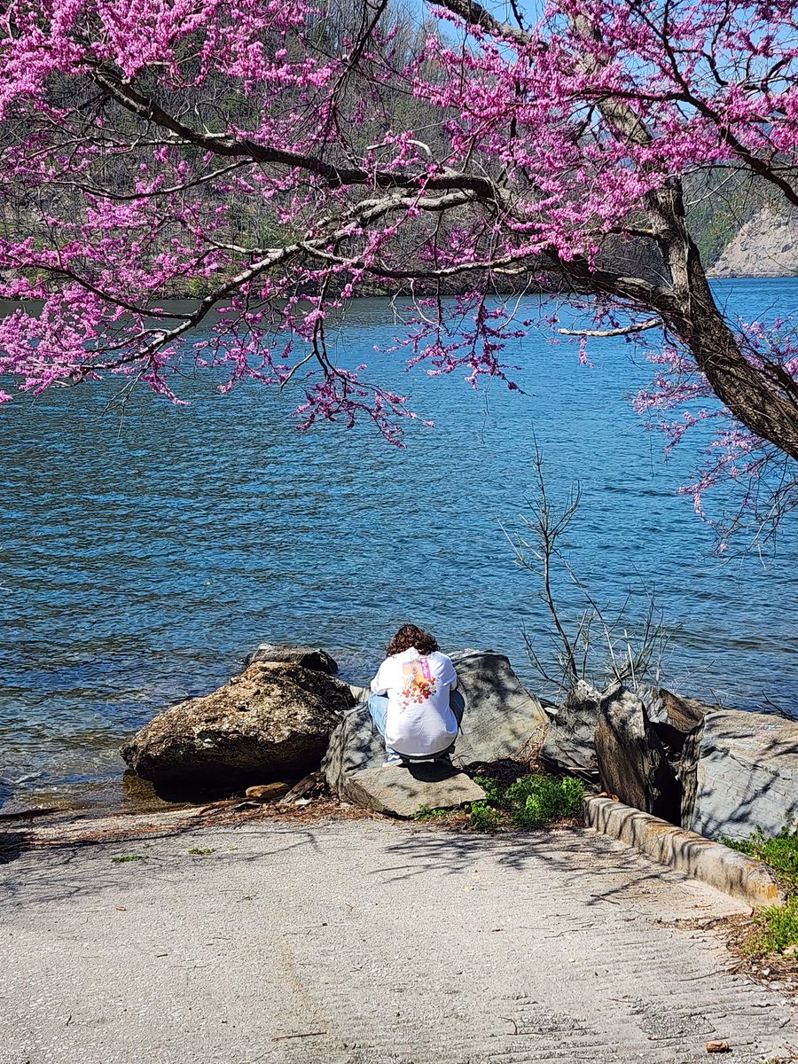 Minnie and me got back last night from the tail of the dragon 🐉 was an amazing trip never had an experience like that and was awesome meeting all the civic owners