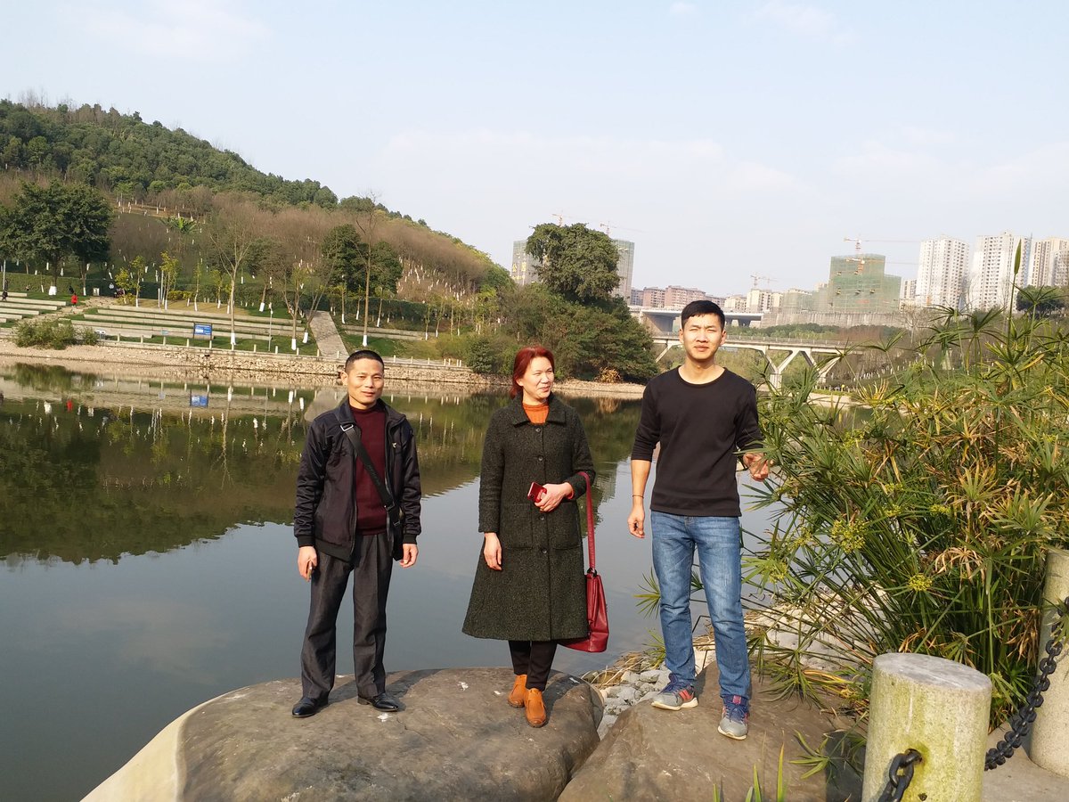 秋风悲电扇 朱高峰 tweet media
