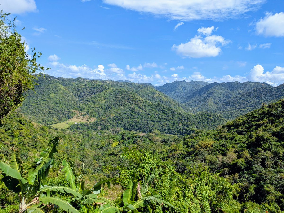 Yo he corrido mundo pero ninguno como este cantito de Tierra que nos tocó.  Yo no me quiero ir de aquí puñeta 😭♥️🇵🇷
