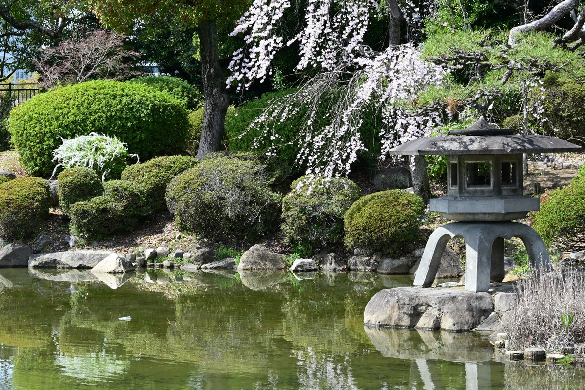 takeo.camp tweet media