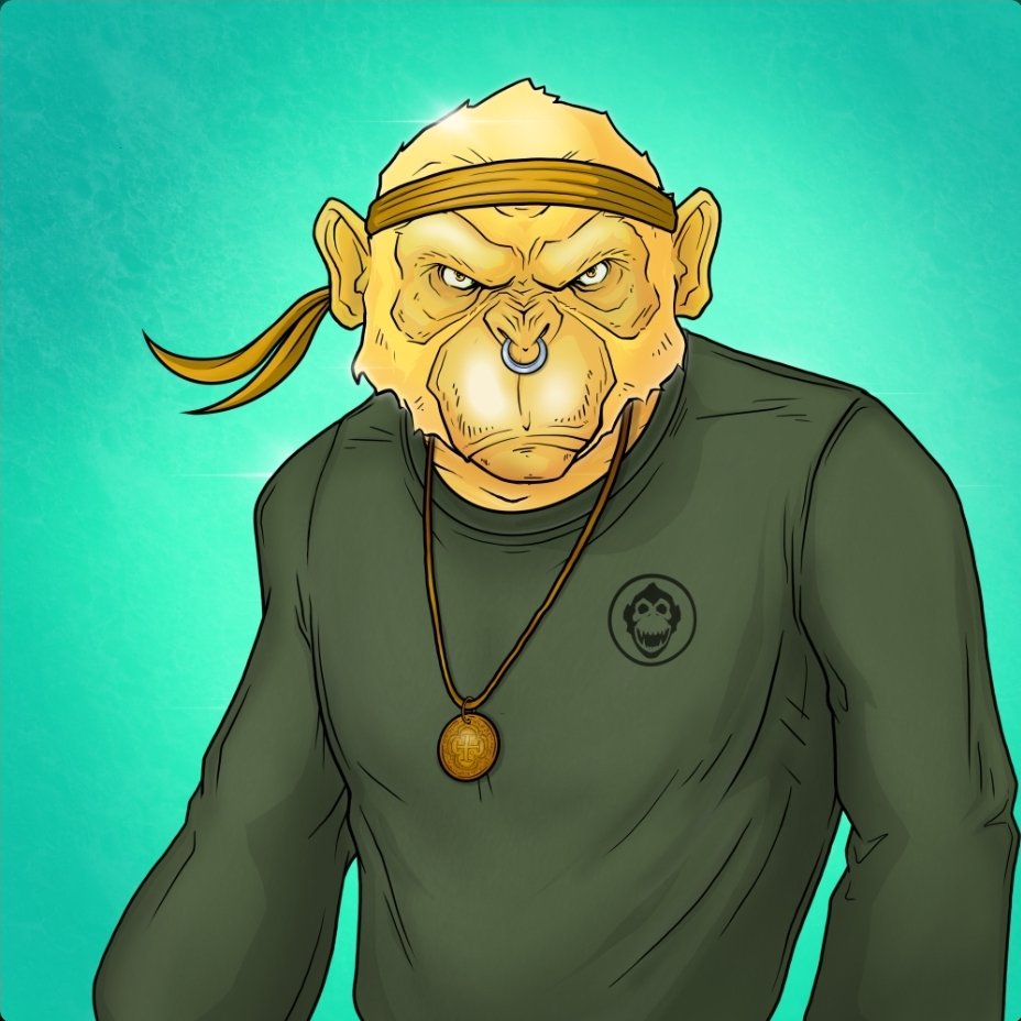 tj roobs tweet media