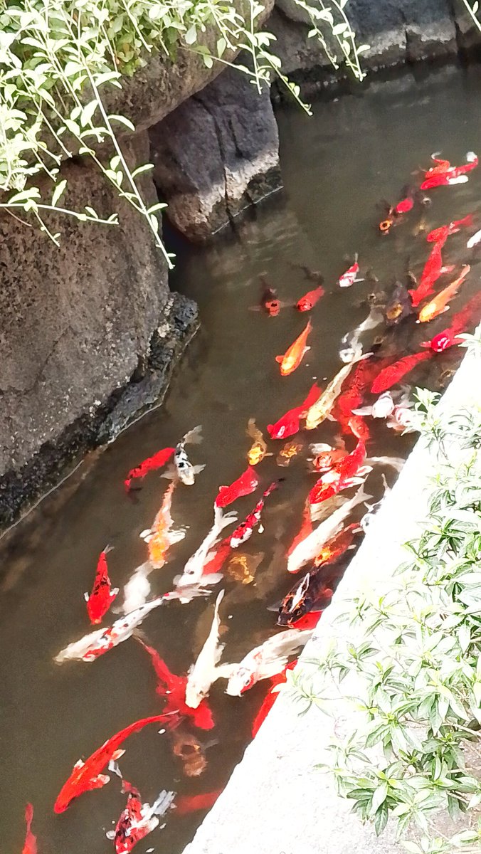 শুভ সকাল