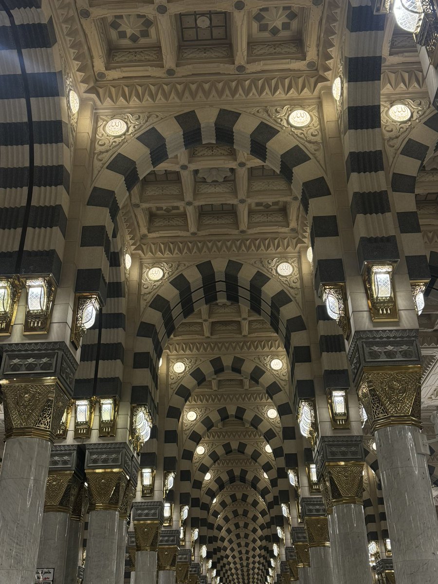 🇩🇯 tweet media