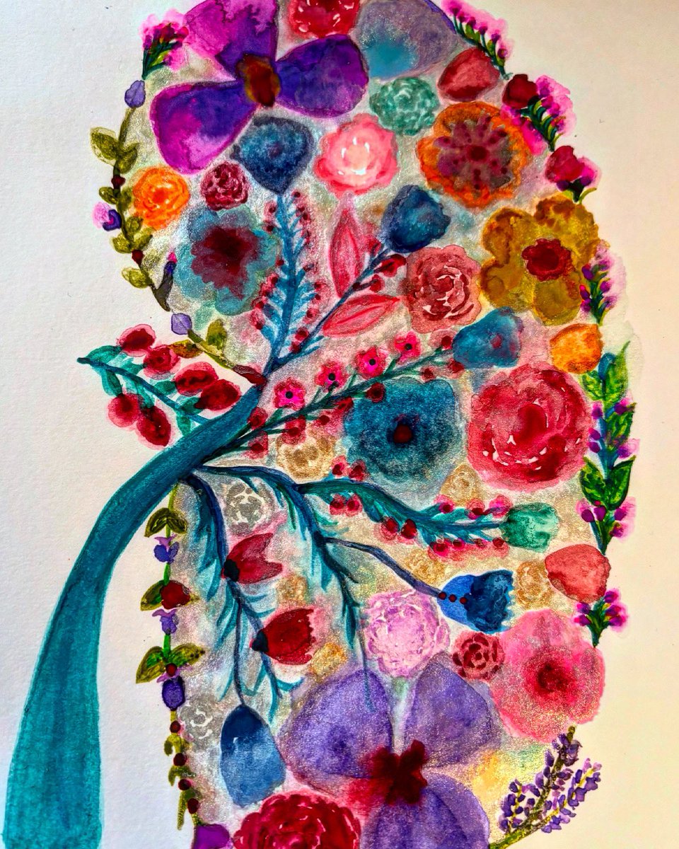 MaCamilabt's tweet image. #artkidney with watercolor 🎨 🫘