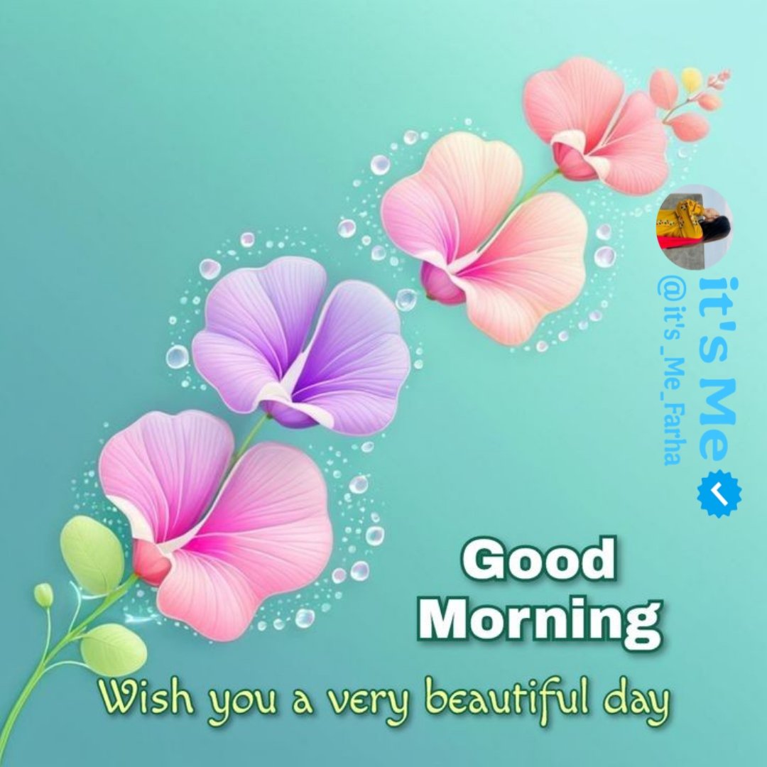 Good Morning 🌄 
Stay blessed 😇
 Stay happy 💞