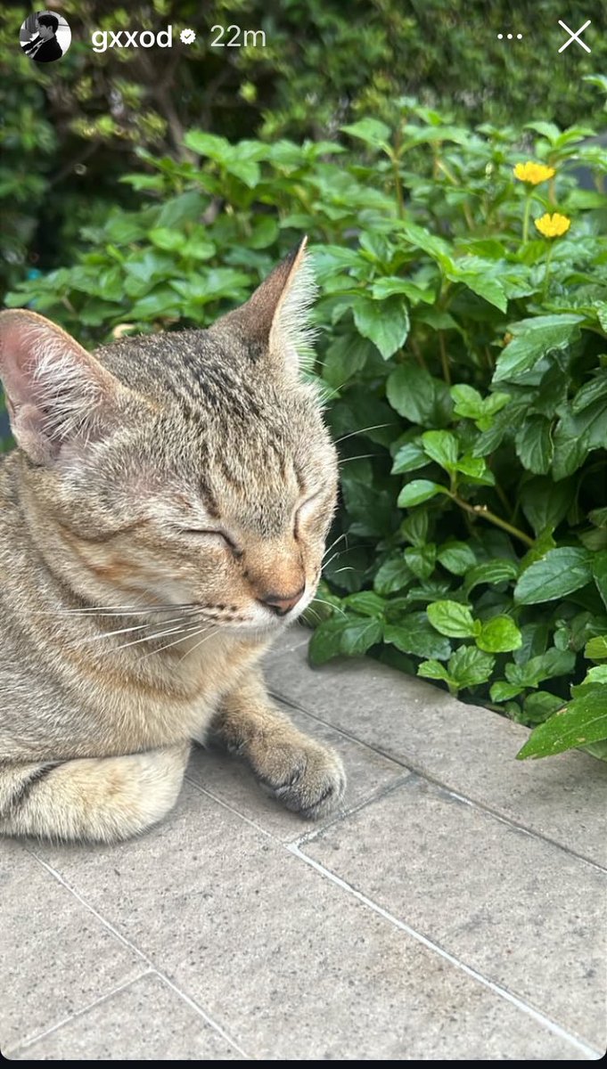 มอร์นิ่งคับก็อต 😽 #ก็อตอิทธิพัทธ์

Happy Sunday ❤️ naja