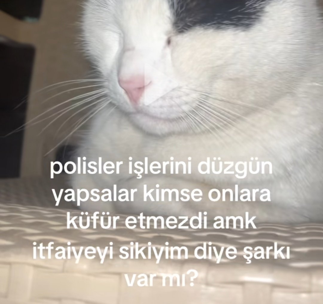 boykot kocaman (@acinasikedi) on Twitter photo 