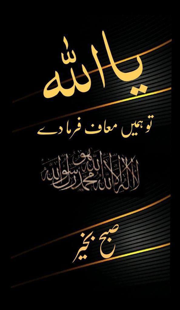 Dr.princessesAliza tweet media