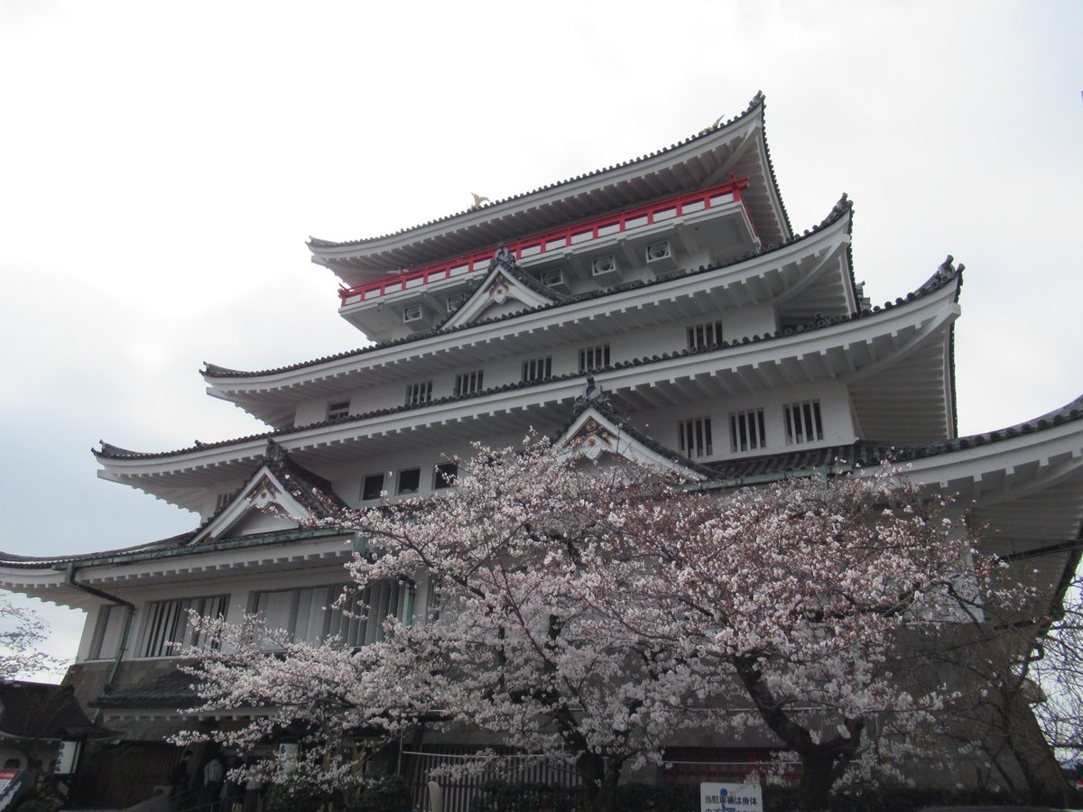 AtamiCastle's tweet image. 熱海城さくら開花状況です。本日お城の前は4分から5分咲きとなりました。庭園は手前3分咲き奥は1分咲きです。 夜桜営業は庭園の桜がなかなか咲かない為来週後半あたりからになりそうです。#熱海城 #熱海 #開花 #桜 #さくら　＃夜桜  #ソメイヨシノ #Atami #sakura #Atamicastle