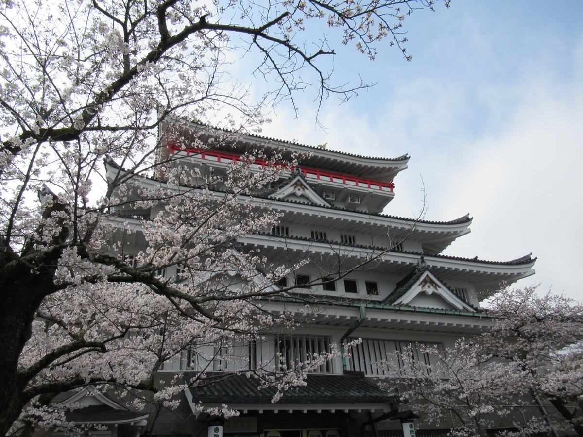 AtamiCastle's tweet image. 熱海城さくら開花状況です。本日お城の前は4分から5分咲きとなりました。庭園は手前3分咲き奥は1分咲きです。 夜桜営業は庭園の桜がなかなか咲かない為来週後半あたりからになりそうです。#熱海城 #熱海 #開花 #桜 #さくら　＃夜桜  #ソメイヨシノ #Atami #sakura #Atamicastle
