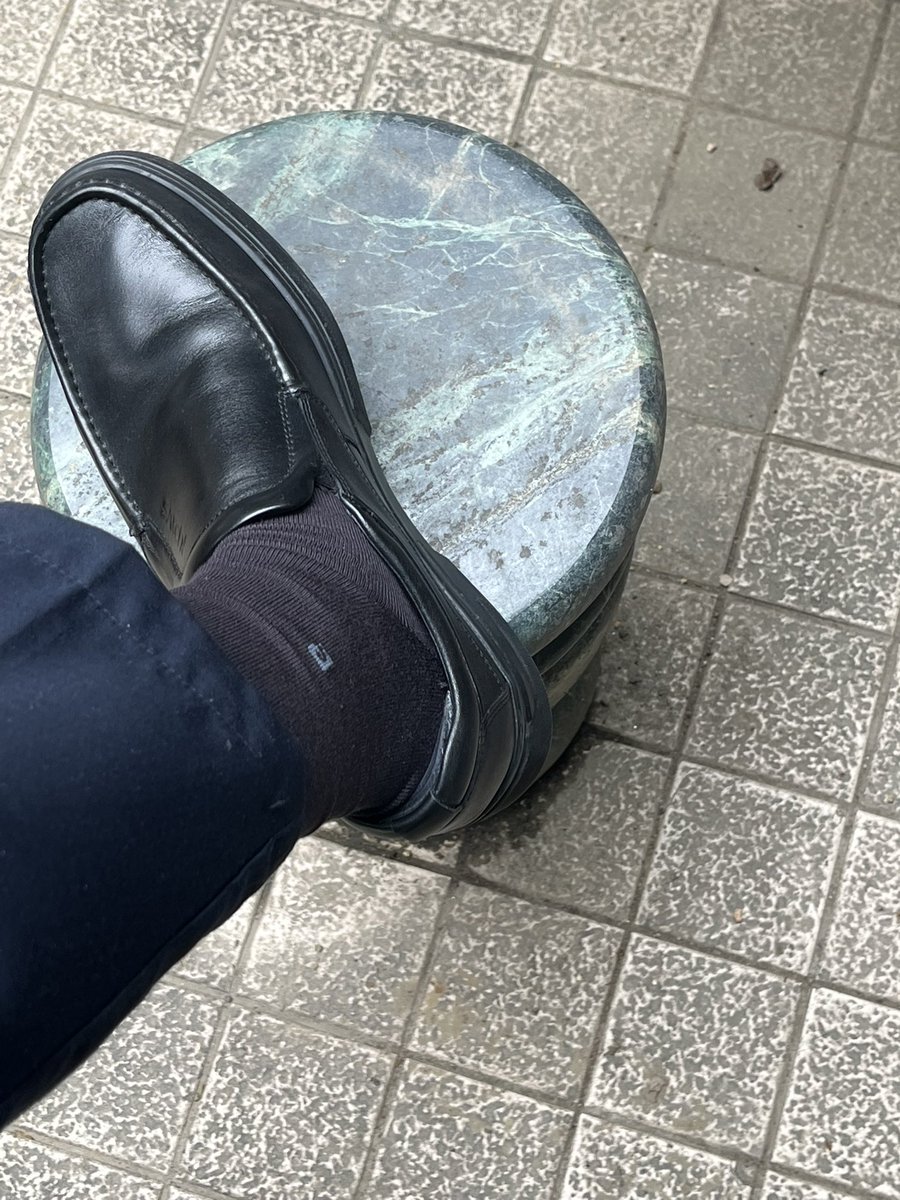 清早公园散步，有没有狗子来按摩一下😄