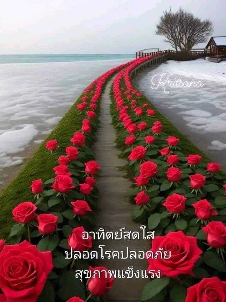 Chen Peter (@chenpeter249187) on Twitter photo 
