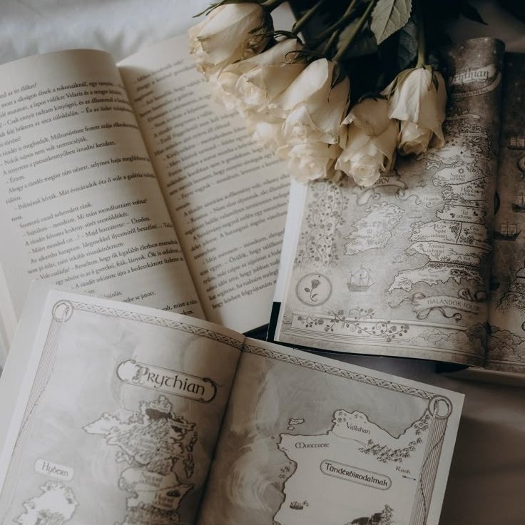 𝖤𝗅𝗅ᥱ ⋆. 𐙚 jurídico langdonmel tweet media