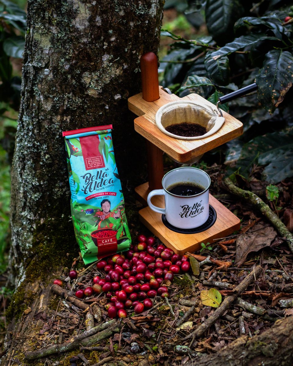 🌋Born in volcanic soil. Raised by tradition.

Our coffee thrives in Juncalito’s unique microclimate—altitude, sunshine, and generations of expertise.

🗺️ Taste the essence of the Dominican Republic

 🛒Try our 3-Pack Bundle (20% OFF + Free Shipping!)