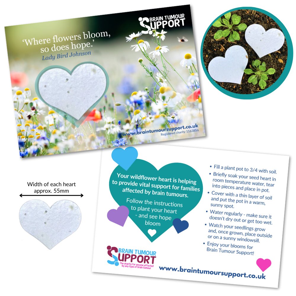 Send a wildflower seed heart &amp; give someone you care about the pleasure of watching them bloom.
These lovely cards can be purchased in our shop &amp; will help us to continue supporting patients &amp; families in their darkest days after a brain tumour diagnosis.
braintumoursupport.co.uk/product/bloom-…