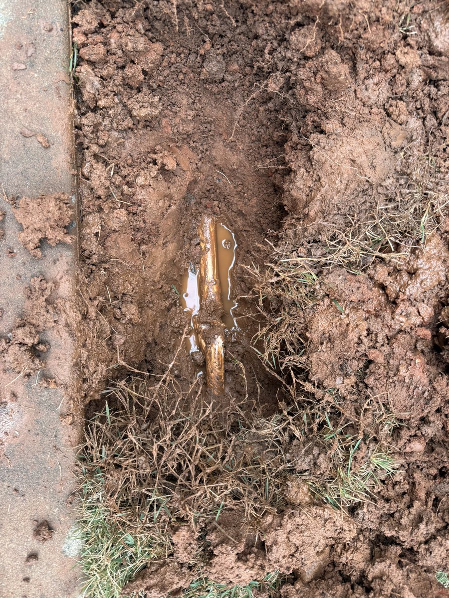 Ankit Patel tweet media