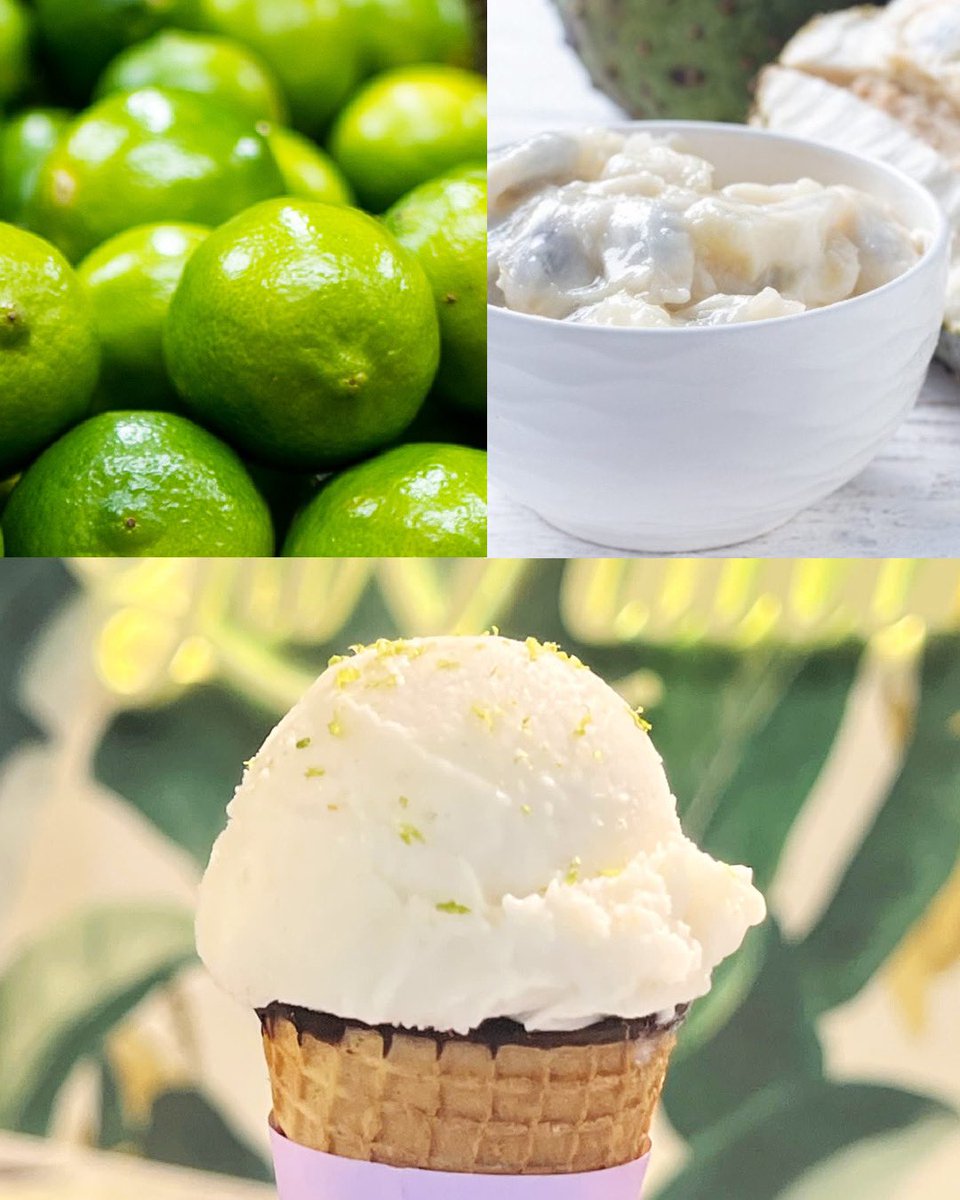 💥 Tenemos NUEVO gelato y nos sentimos tan entusiasmados como la primera vez, porque la experiencia crece y nuestra colección.

Sorbete de Guanábana, con infusión de menta y ralladura de limón. 
🫠
La solución perfecta para librarse del calor... con sabor.