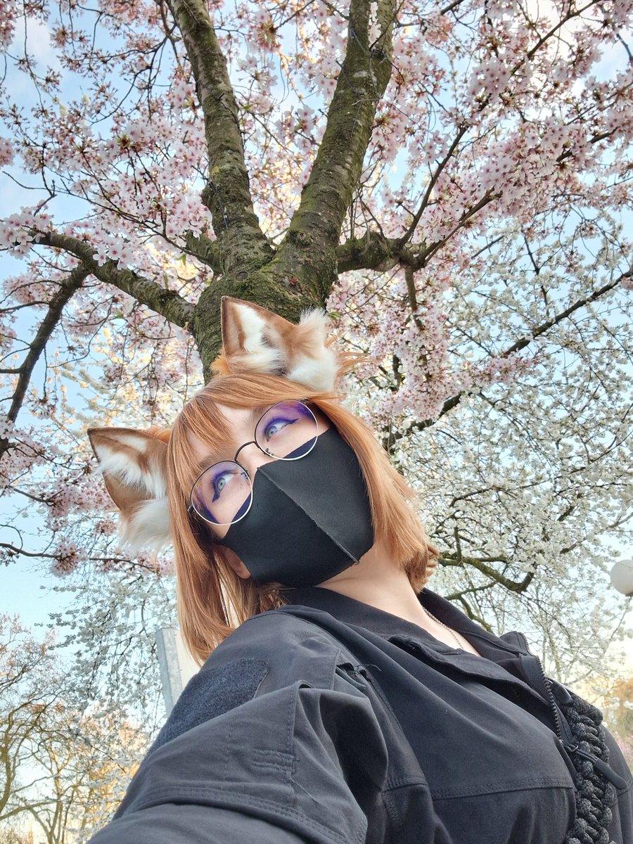 ElibethVulpine's tweet photo. Sakura Fox :3 https://t.co/0gYdIDH8Gb