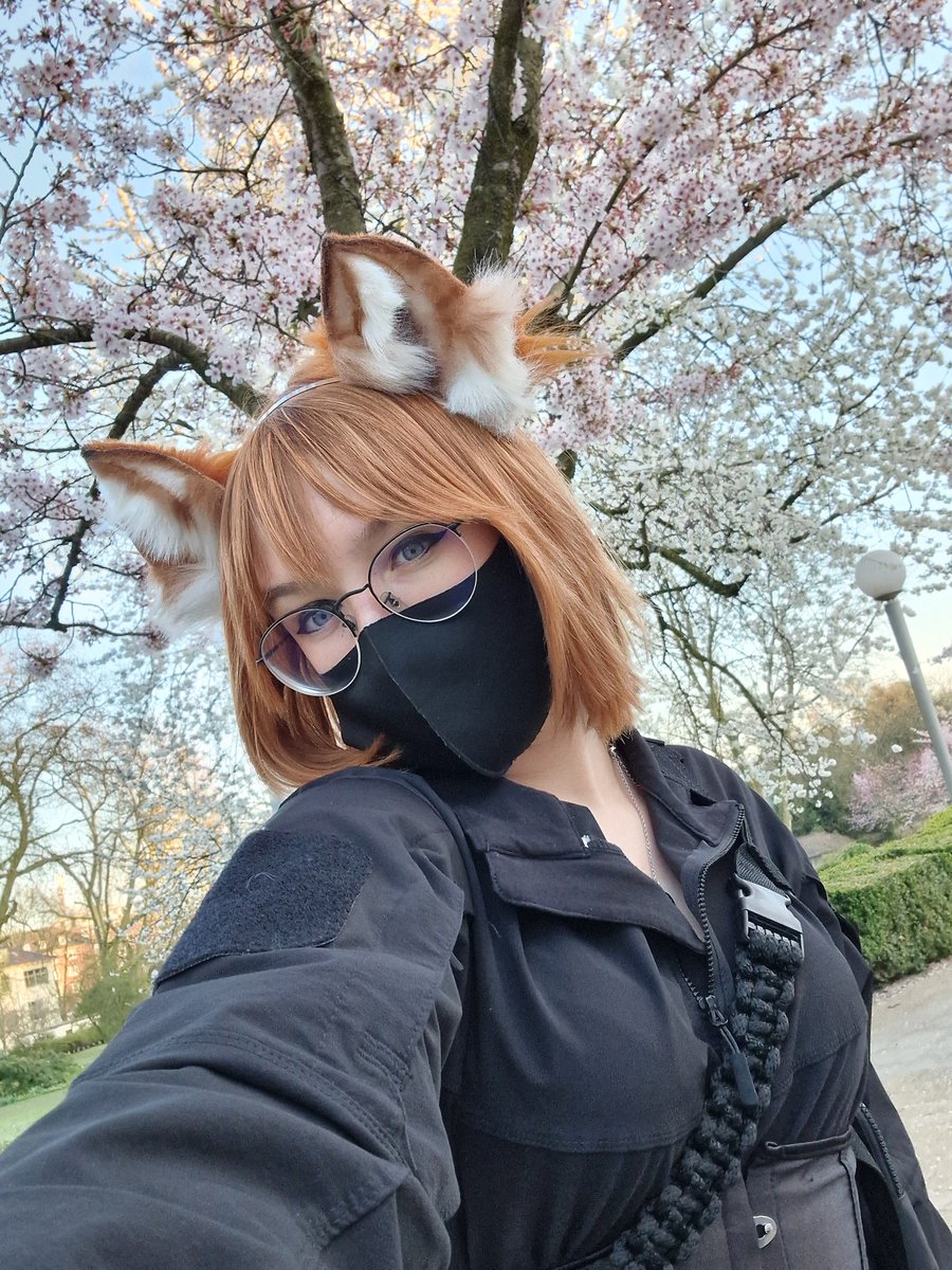 ElibethVulpine's tweet photo. Sakura Fox :3 https://t.co/0gYdIDH8Gb
