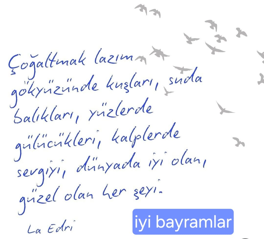 FERİT KÖROĞLU (@feritkrolu) on Twitter photo 