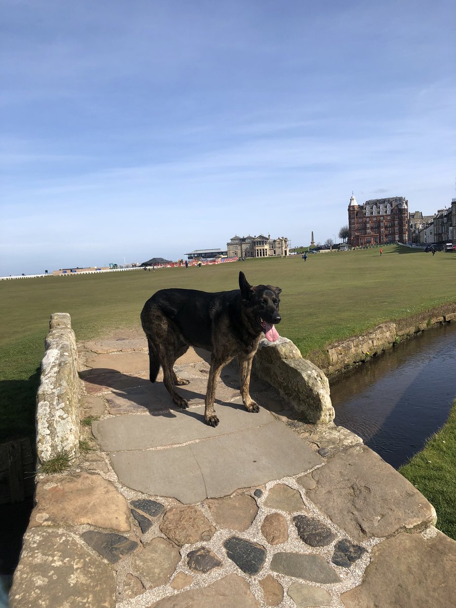 There’s no more beautiful and atmospheric town on Gods Earth than St Andrews on a sunny Spring day - Corey and I savoured our visit and paid homage to the Colossus of Golf - Tom Morris. Making the best of every day !