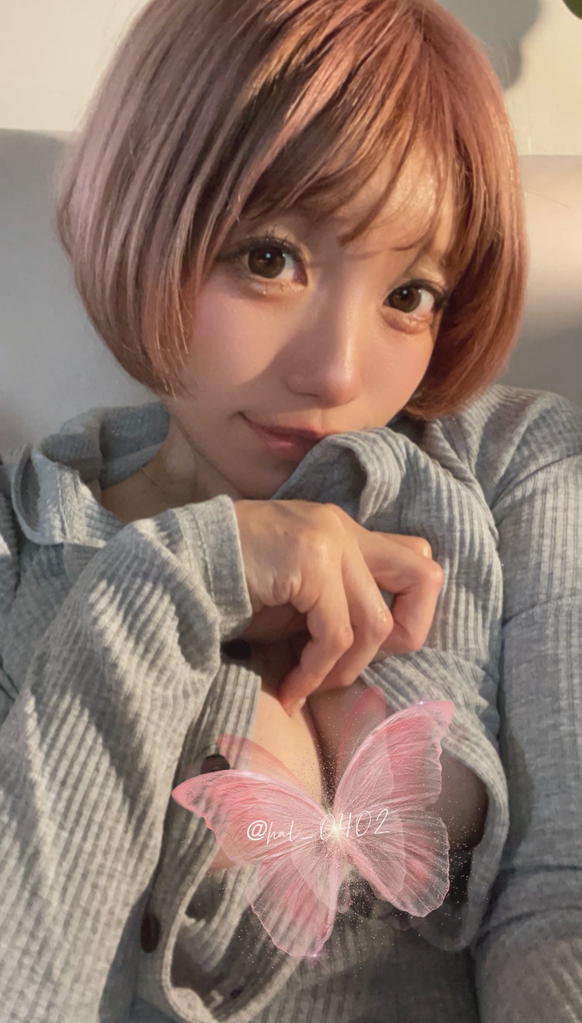 ☆ハル☆ (@hal_0402) / X
