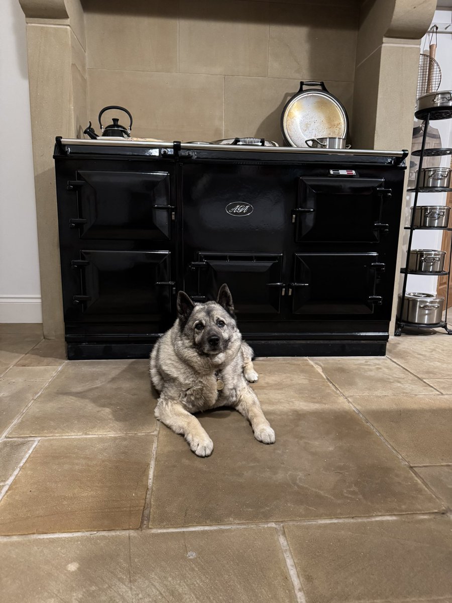 Andrew Snowden MP 🇬🇧 tweet media