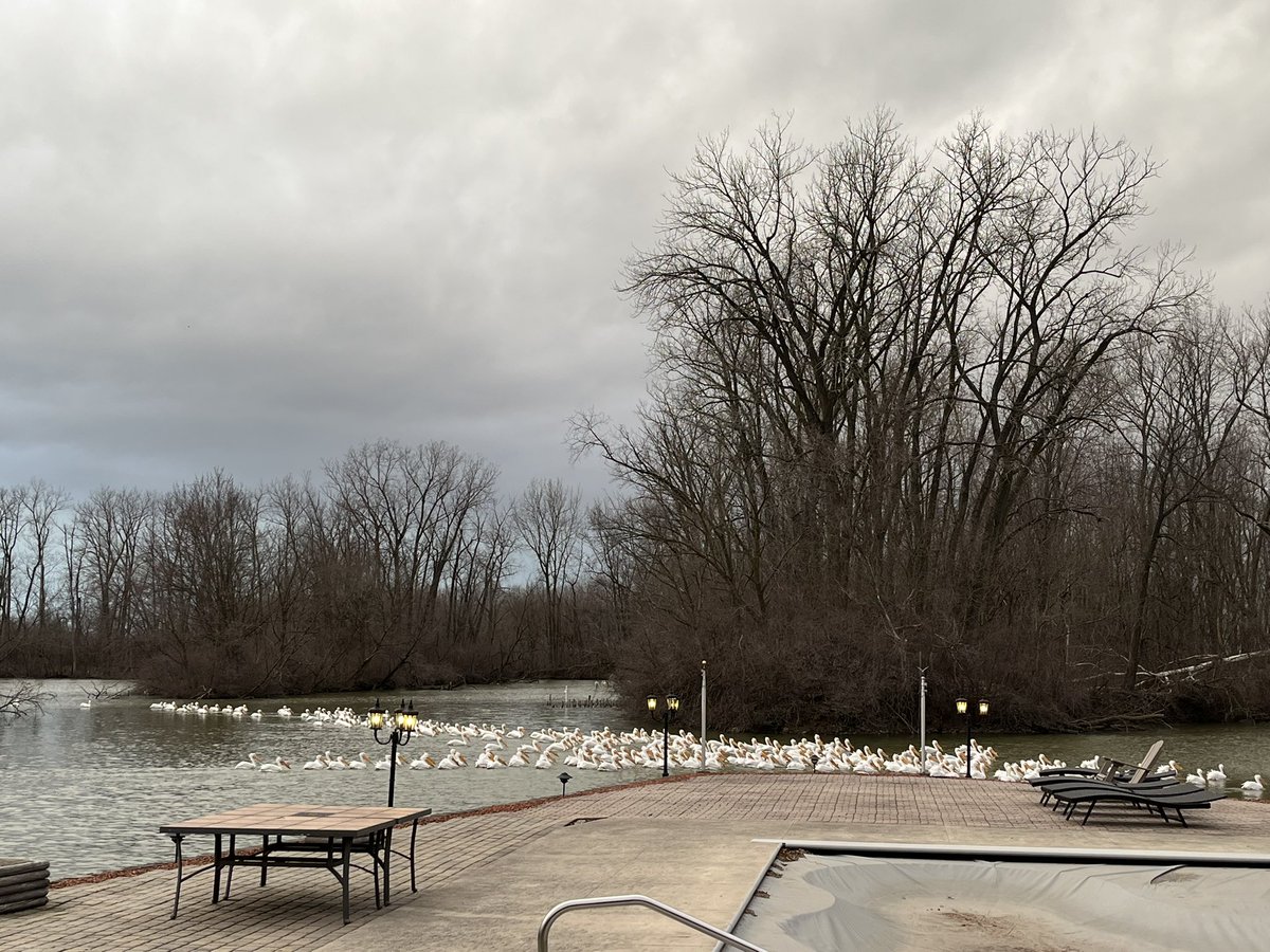 Edison Brewing Company tweet media