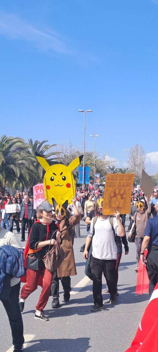 Pikachu mitingte.