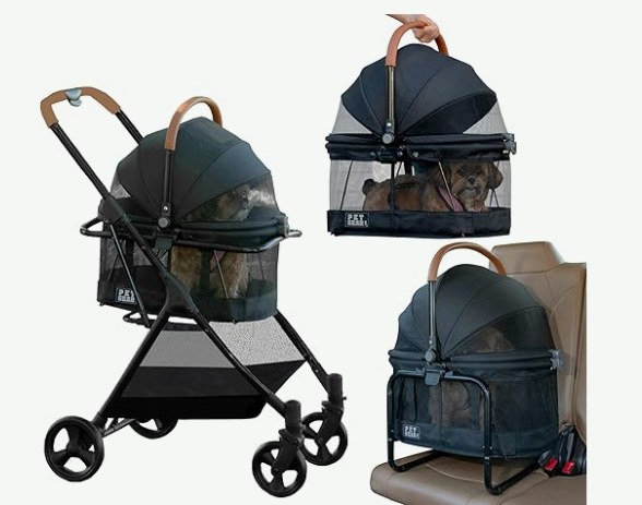 Sherry Miller tweet media