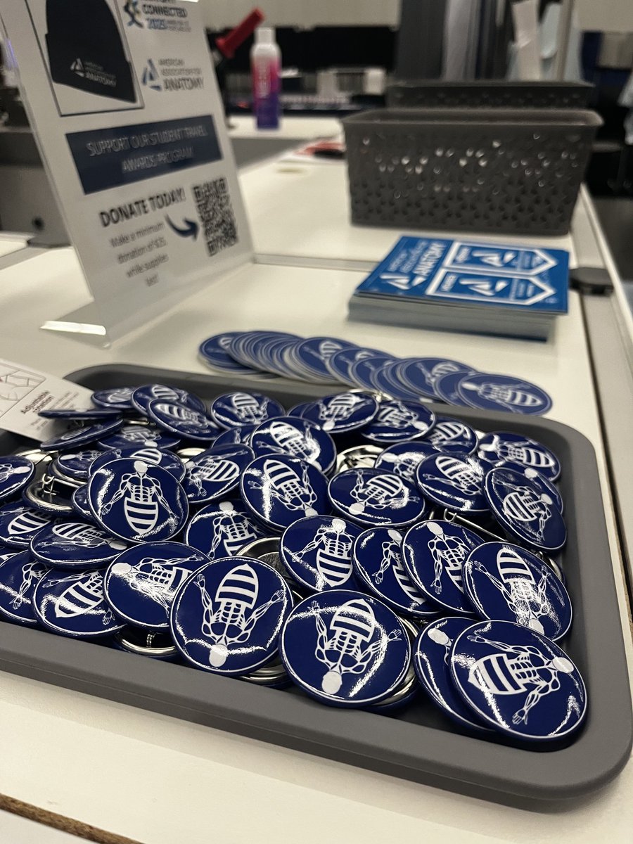 Anato-Bee swag at the <a href="/AnatomyOrg/">American Association for Anatomy</a> booth! Wear a pin or sport a sticker on your water bottle to support the Anato-Bee. You can find more info about us at anatobee.org. 
#anatomy25 #anatobee #stemm