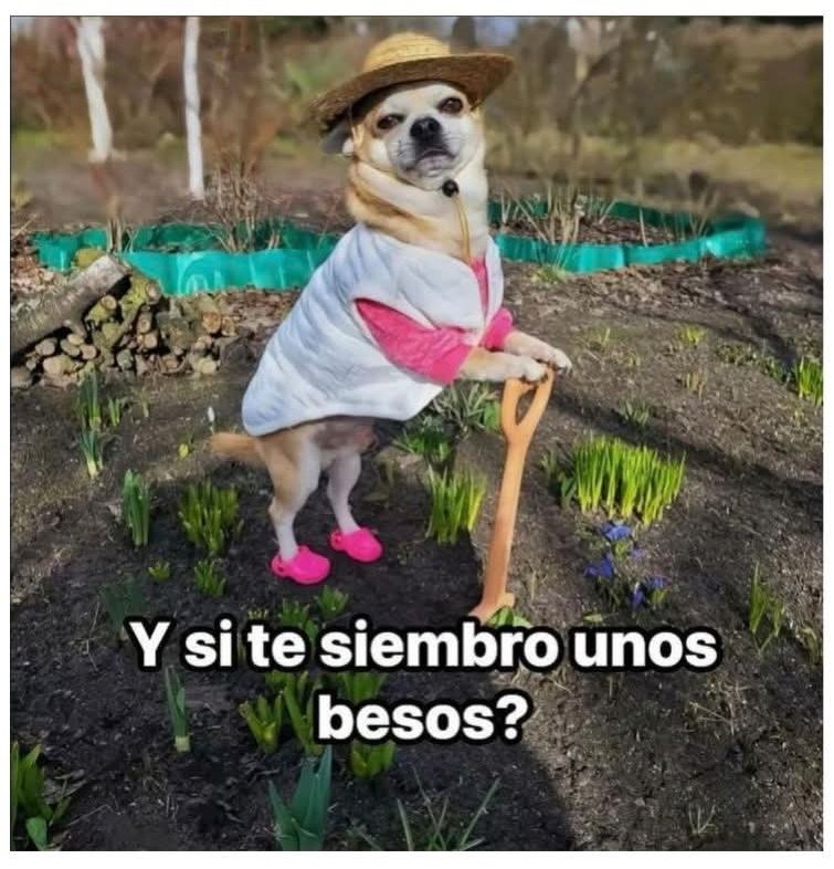 Content from davina_mx