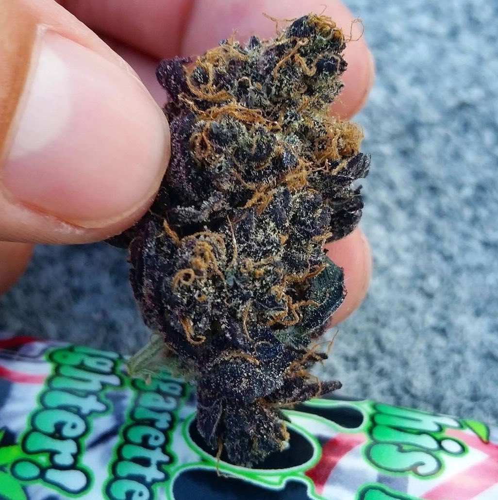 STONERS R US 🍃 tweet media