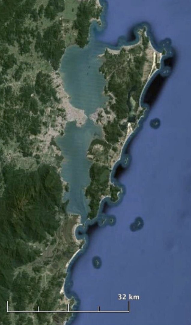 James Albert 🐟 🇺🇦 tweet media