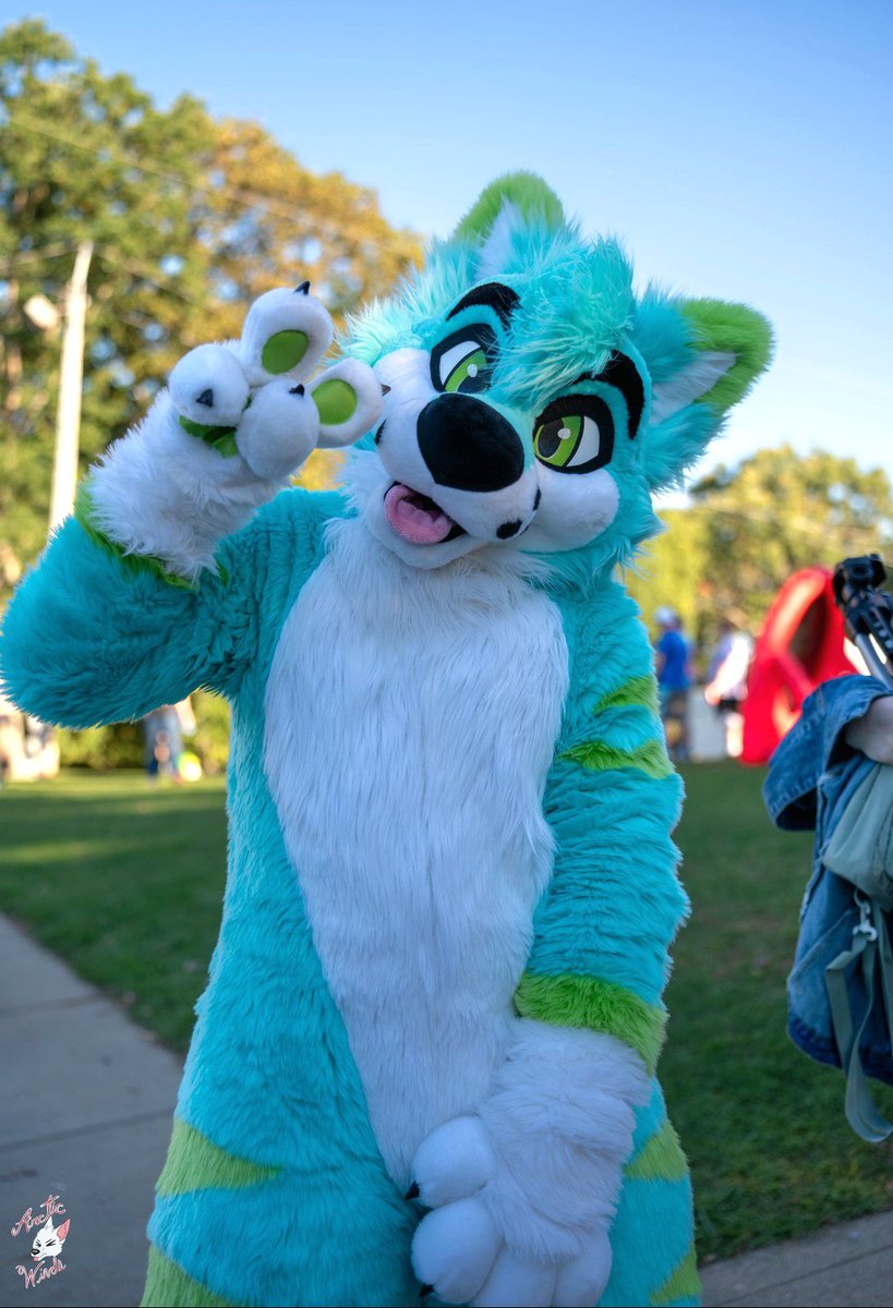 Today is Arctic's 1st birthday! 🥳🎉

Time flies by so incredibly fast, it feels like I got him just yesterday ;-;

Wish Arctic a very happy birthday!

📸 : <a href="/ArcticWindPhoto/">Arctic Winds Photos</a>