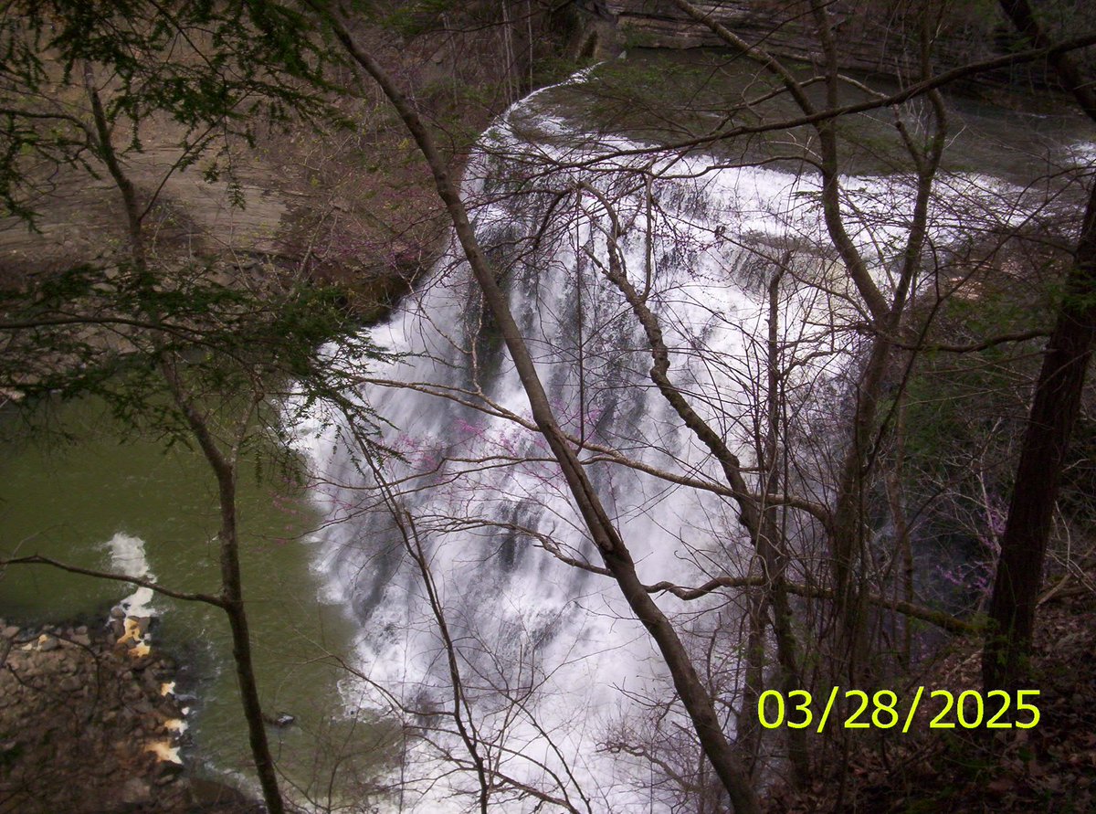 cyber_byte3d's tweet image. 