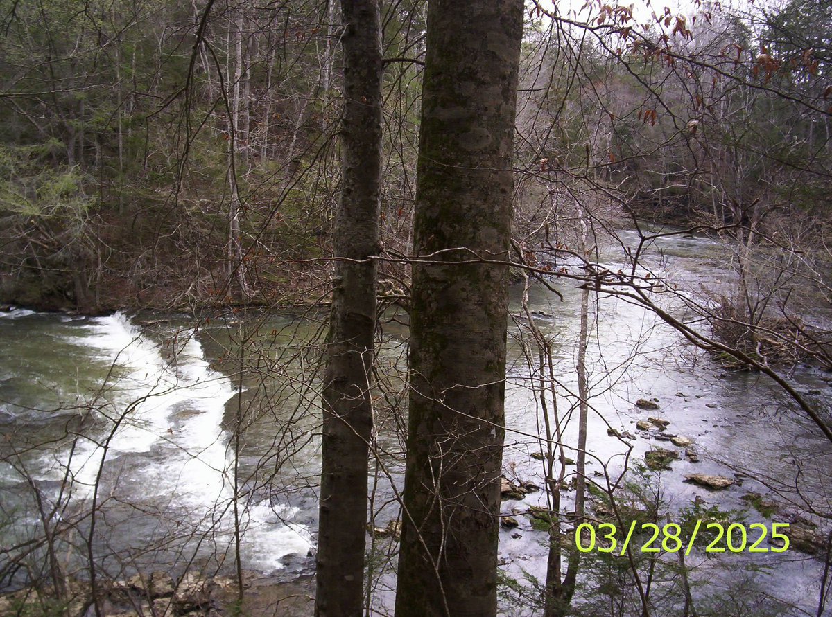 cyber_byte3d's tweet image. 