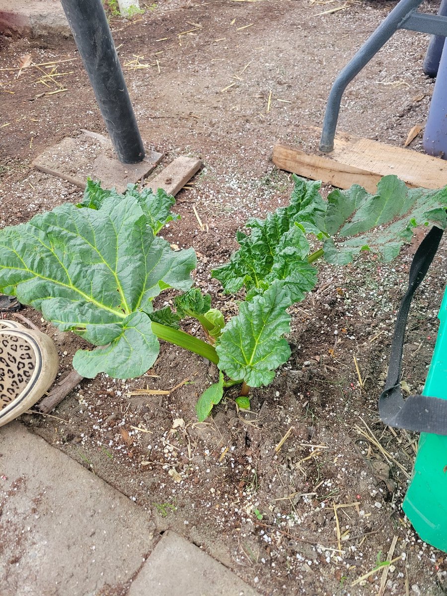 Vincent Guénette tweet media