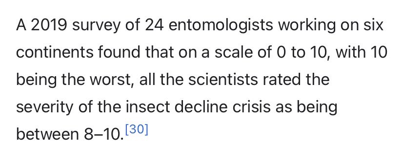 樹里 𓆧 (@0rthoptera) on Twitter photo 