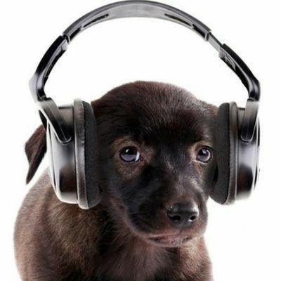 tortadefrango67's tweet photo. nao mano to ouvindo música nao pode falar https://t.co/YUpc8XI3Yp