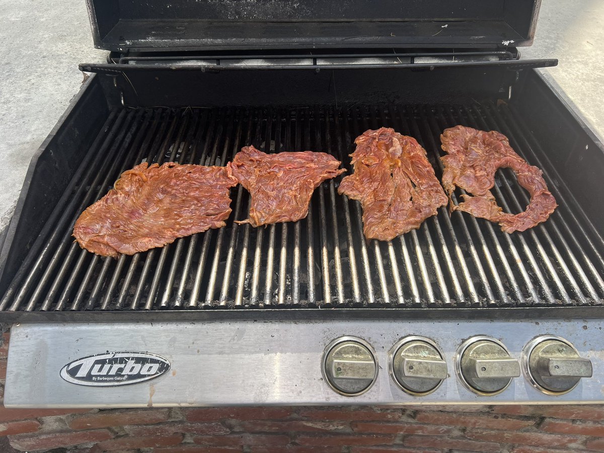 EfrenPoliPsy's tweet image. Carne asada and Mexi-mullets on this glorious LA spring day 🇲🇽⚾️