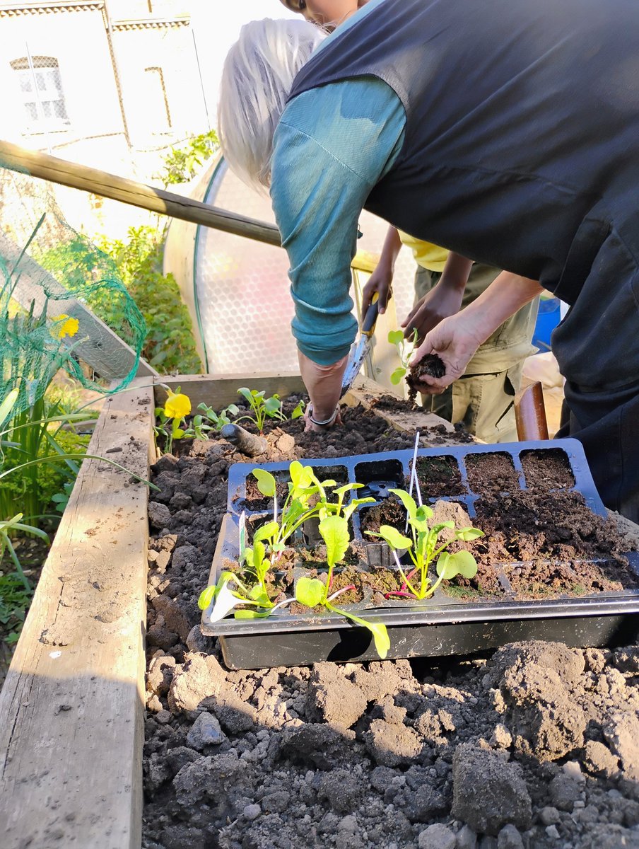 The shadwell community project tweet media