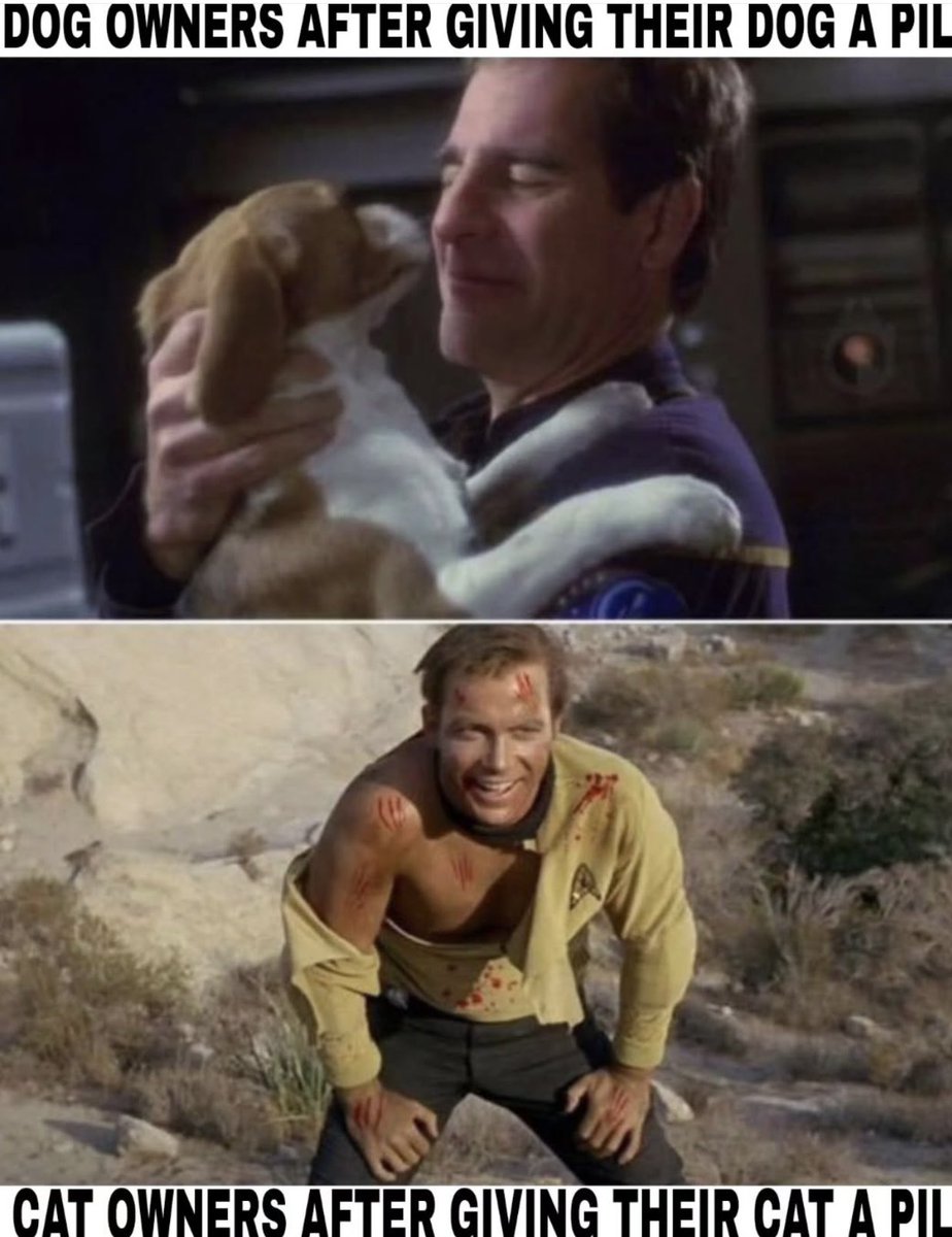 Captain James T. Kirk tweet media