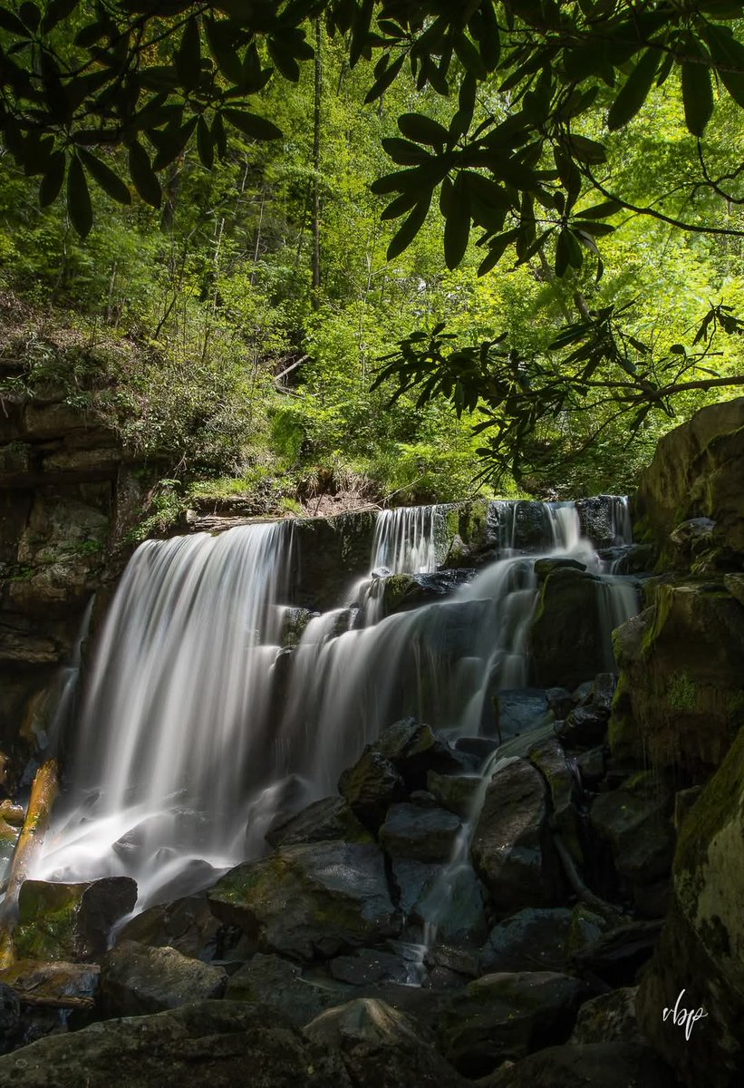 JACK IVY (@wrmglive) on Twitter photo 