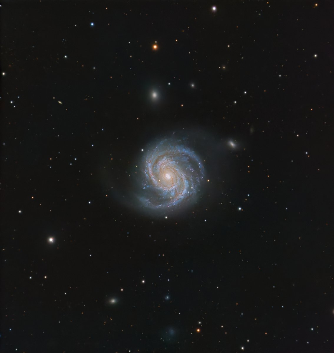 Messier 100 

My take on this gorgeous spiral. For me personally, one of the most beautiful galaxies in the northern sky.

10h42' with the Celestron 8 <a href="/f/">Fred Oliveira 🧠</a>/7, ToupTek ATR3 CMOS 09000 KPA