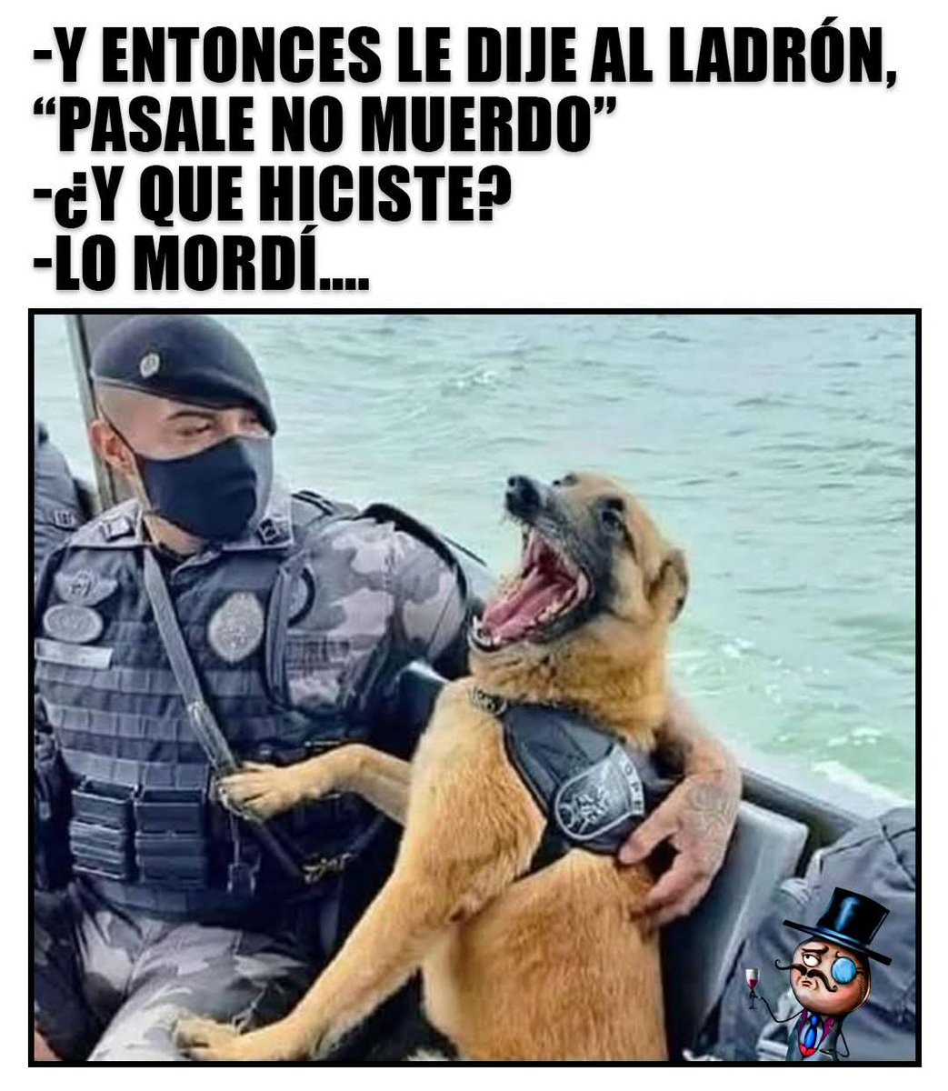🤣🤣🤣🤣
