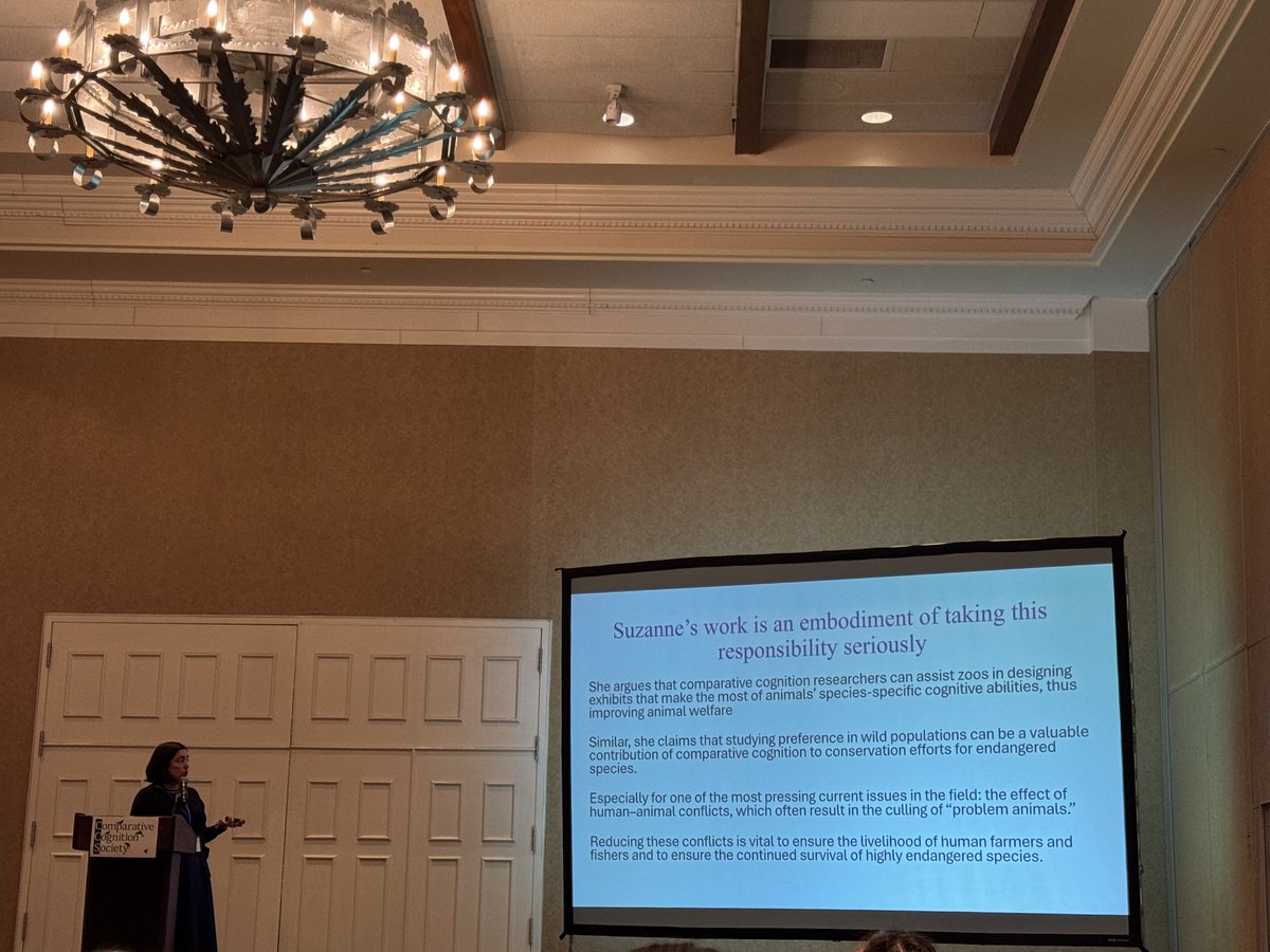 ComparativeCognitionSociety tweet media